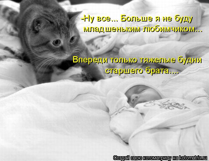 -Ну все... Больше я не буду младшеньким любимчиком... Впереди только тяжелые будни старшего брата....... Котоматрица: -Ну все... Больше я не буду младшеньким любимчиком... Впереди только тяжелые будни старшего брата....