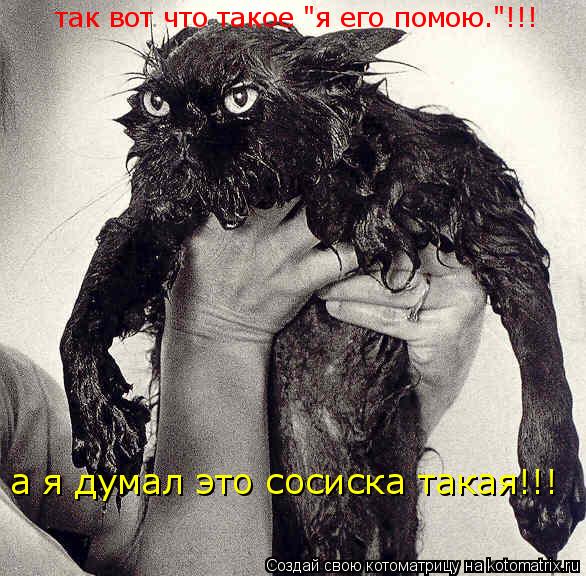 так вот что такое "я его помою."!!! а я думал это сосиска такая!!!... Котоматрица: так вот что такое "я его помою."!!! а я думал это сосиска такая!!!