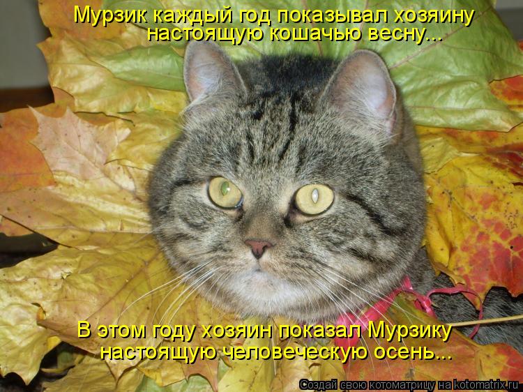 Мурзик каждый год показывал хозяину настоящую кошачью весну... В этом году хозяин показал Мурзику нас... Котоматрица: Мурзик каждый год показывал хозяину настоящую кошачью весну... В этом году хозяин показал Мурзику настоящую человеческую осень...