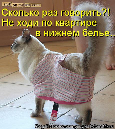 Сколько раз говорить?! Не ходи по квартире в нижнем белье...... Котоматрица: Сколько раз говорить?! Не ходи по квартире в нижнем белье...