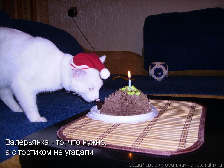 Валерьянка - то, что нужно, а с тортиком не угадали... Котоматрица: Валерьянка - то, что нужно, а с тортиком не угадали