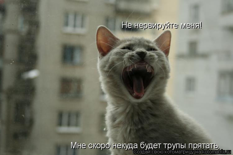Не нервируйте меня! Мне скоро некуда будет трупы прятать.... Котоматрица: Не нервируйте меня! Мне скоро некуда будет трупы прятать.