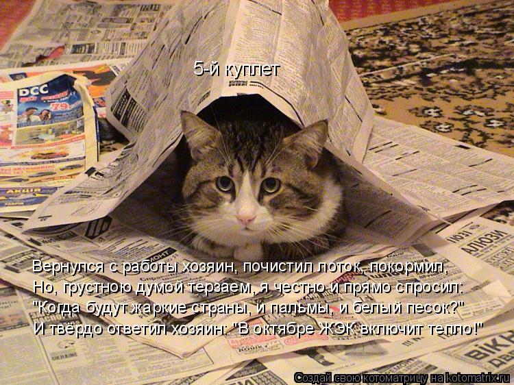 5-й куплет Вернулся с работы хозяин, почистил лоток, покормил, Но, грустною думой терзаем, я честно и... Котоматрица: 5-й куплет Вернулся с работы хозяин, почистил лоток, покормил, Но, грустною думой терзаем, я честно и прямо спросил: "Когда будут жаркие стран