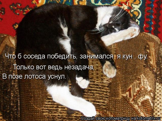 Что б соседа победить, занимался я кун – фу. Только вот ведь незадача, В позе лотоса уснул…... Котоматрица: Что б соседа победить, занимался я кун – фу. Только вот ведь незадача, В позе лотоса уснул…