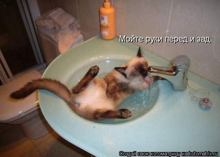 Мойте руки перед и зад.... Котоматрица: Мойте руки перед и зад.