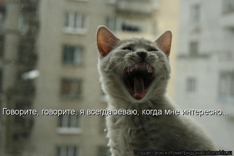 Говорите, говорите, я всегда зеваю, когда мне интересно...... Котоматрица: Говорите, говорите, я всегда зеваю, когда мне интересно...