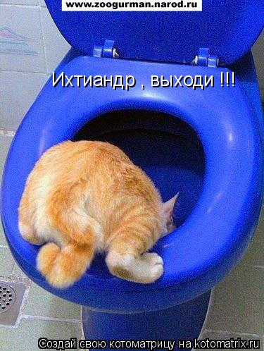 Ихтиандр , выходи !!!... Котоматрица: Ихтиандр , выходи !!!