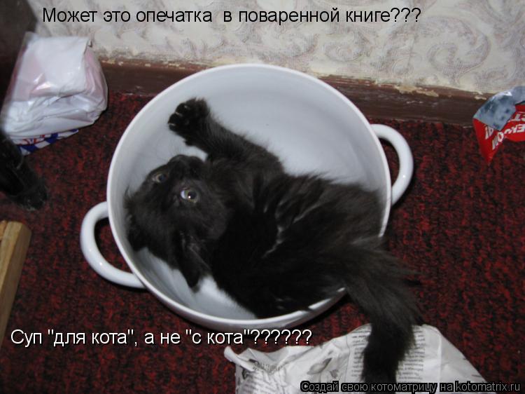 Может это опечатка в поваренной книге??? Суп "для кота", а не "с кота"??????... Котоматрица: Может это опечатка в поваренной книге??? Суп "для кота", а не "с кота"??????
