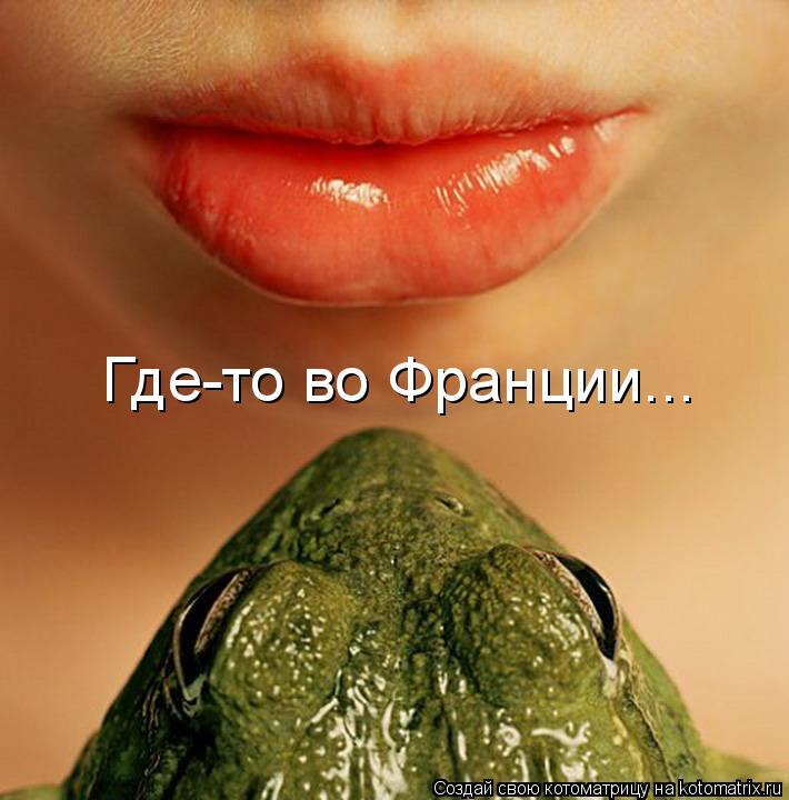 Где-то во Франции...... Котоматрица: Где-то во Франции...