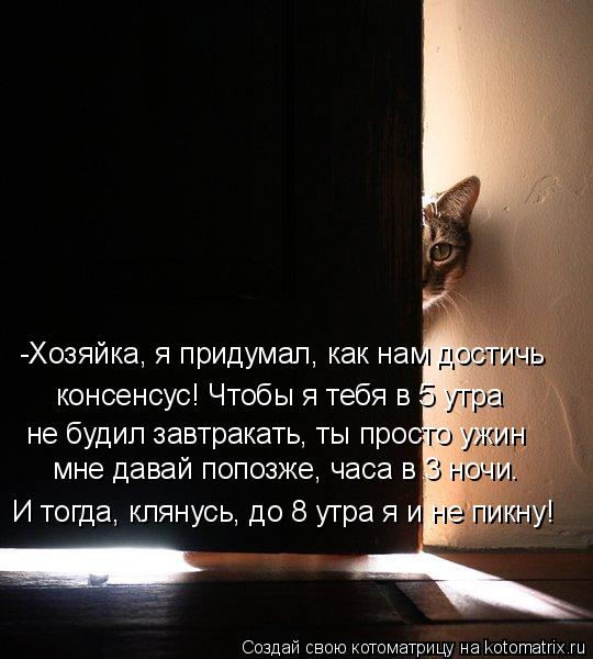 Котоматрица: -Хозяйка, я придумал, как нам достичь консенсус! Чтобы я тебя в 5 утра не будил завтракать, ты просто ужин мне давай попозже, часа в 3 ночи.  И то