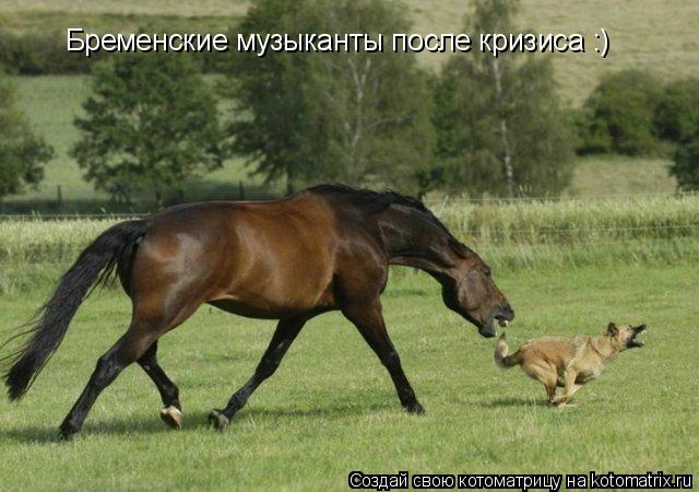 Бременские музыканты после кризиса :)... Котоматрица: Бременские музыканты после кризиса :)