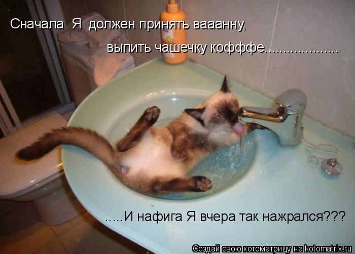 Сначала Я должен принять вааанну, выпить чашечку кофффе.................... .....И нафига Я вчера... Котоматрица: Сначала Я должен принять вааанну, выпить чашечку кофффе.................... .....И нафига Я вчера так нажрался???
