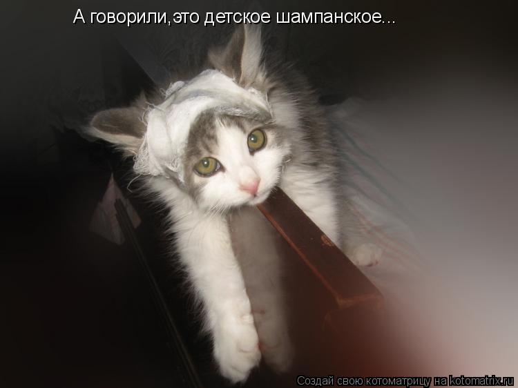 А говорили,это детское шампанское...... Котоматрица: А говорили,это детское шампанское...