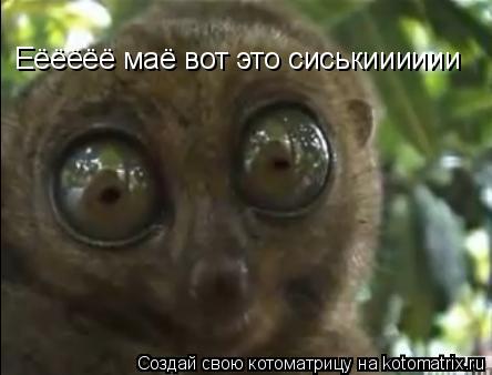 Еёёёёё маё вот это сиськииииии... Котоматрица: Еёёёёё маё вот это сиськииииии
