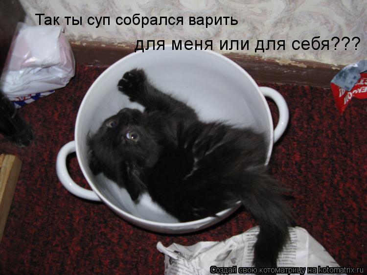 Так ты суп собрался варить для меня или для себя???... Котоматрица: Так ты суп собрался варить для меня или для себя???
