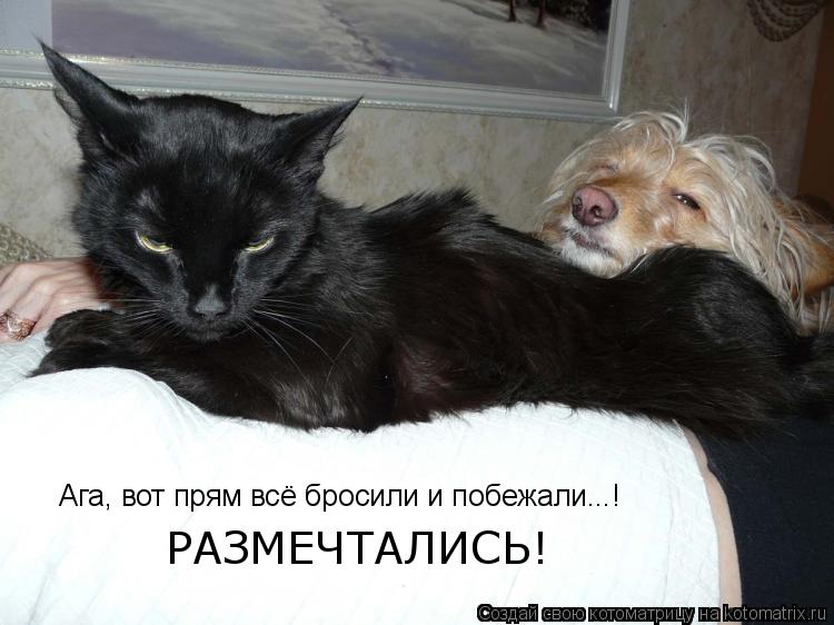 Ага, вот прям всё бросили и побежали...! РАЗМЕЧТАЛИСЬ!... Котоматрица: Ага, вот прям всё бросили и побежали...! РАЗМЕЧТАЛИСЬ!