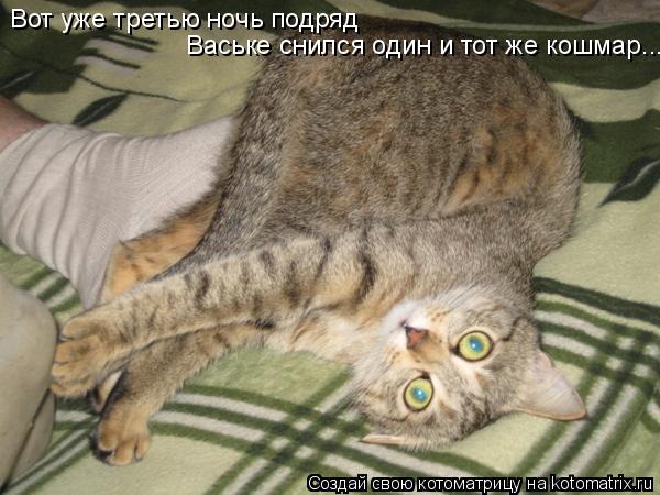 Вот уже третью ночь подряд Ваське снился один и тот же кошмар...... Котоматрица: Вот уже третью ночь подряд Ваське снился один и тот же кошмар...