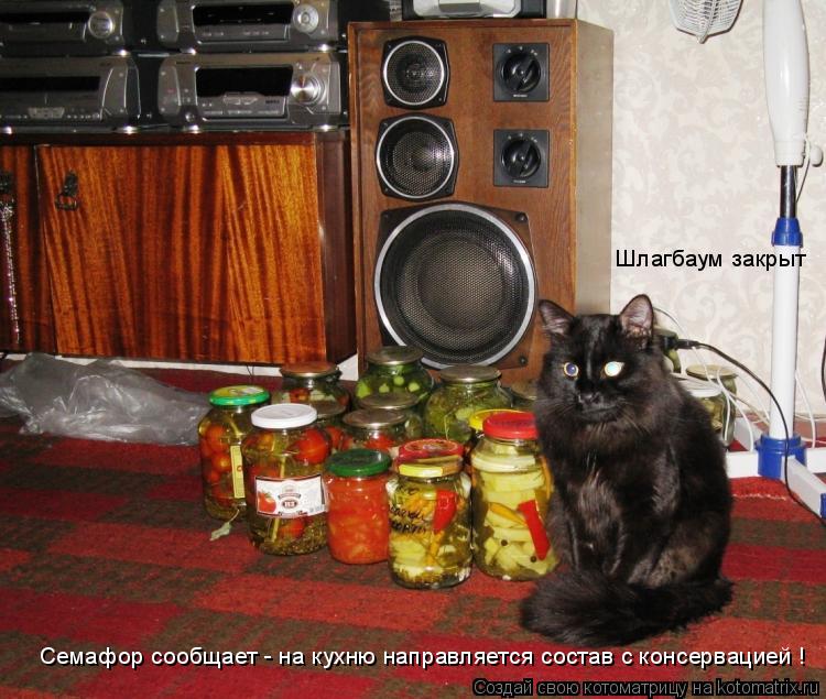 Шлагбаум закрыт Семафор сообщает - на кухню направляется состав с консервацией !... Котоматрица: Шлагбаум закрыт Семафор сообщает - на кухню направляется состав с консервацией !