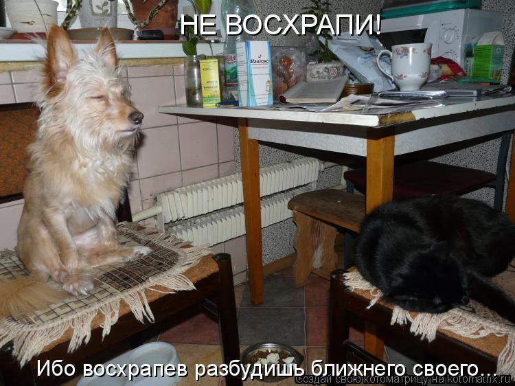 НЕ ВОСХРАПИ! Ибо восхрапев разбудишь ближнего своего...... Котоматрица: НЕ ВОСХРАПИ! Ибо восхрапев разбудишь ближнего своего...
