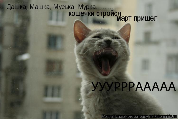 Дашка, Машка, Муська, Мурка............ кошечки стройся март пришел УУУРРРААААА... Котоматрица: Дашка, Машка, Муська, Мурка............ кошечки стройся март пришел УУУРРРААААА