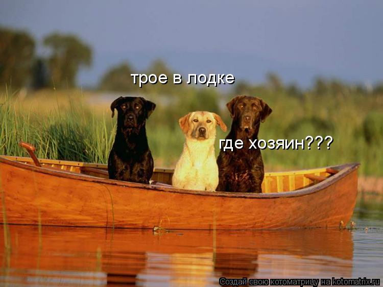 трое в лодке где хозяин???... Котоматрица: трое в лодке где хозяин???