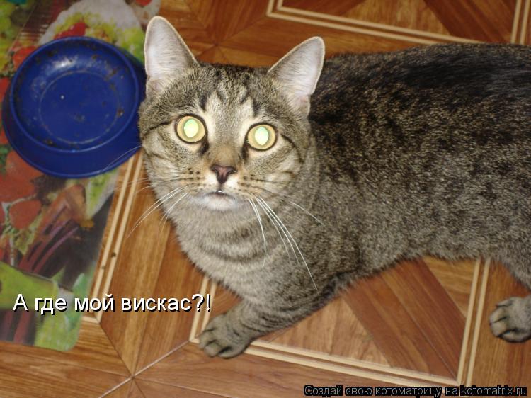А где мой вискас?!... Котоматрица: А где мой вискас?!