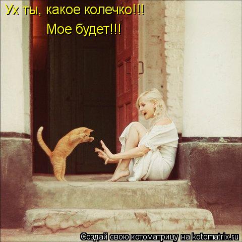 Ух ты, какое колечко!!! Мое будет!!!... Котоматрица: Ух ты, какое колечко!!! Мое будет!!!