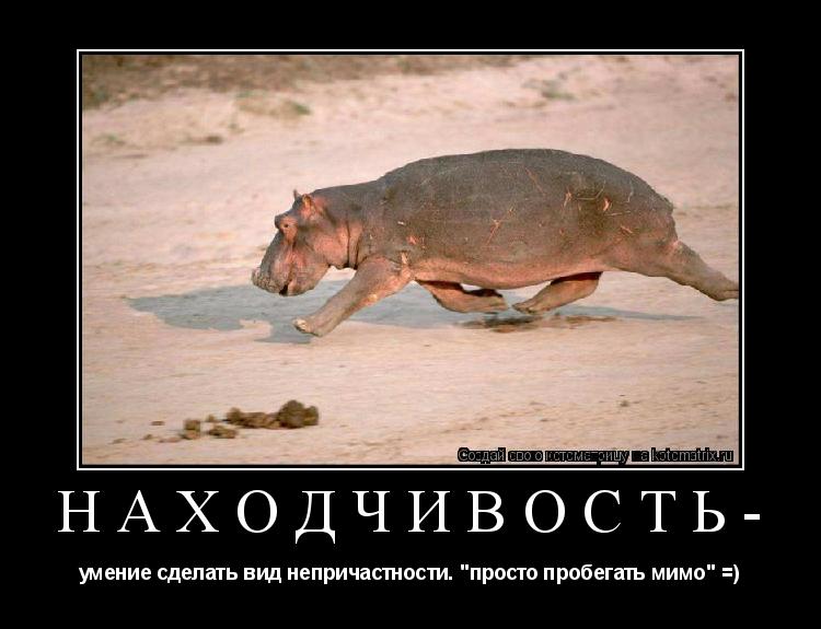 Котоматрица: НАХОДЧИВОСТЬ- умение сделать вид непричастности. "просто пробегать мимо" =)