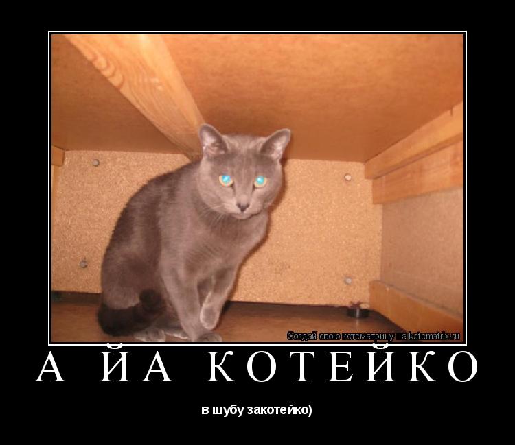 Котоматрица:  А ЙА КОТЕЙКО в шубу закотейко)