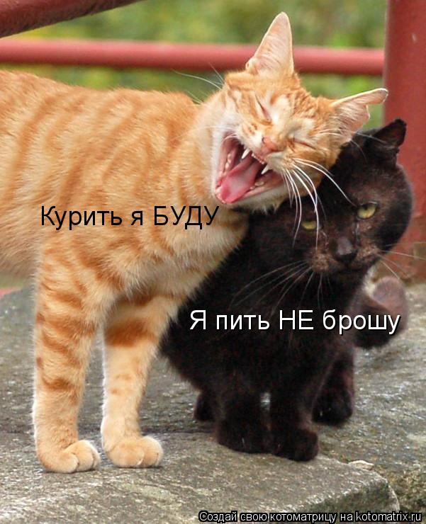 Курить я БУДУ Я пить НЕ брошу... Котоматрица: Курить я БУДУ Я пить НЕ брошу