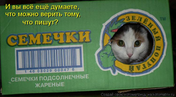 И вы всё ещё думаете, что можно верить тому, что пишут?... Котоматрица: И вы всё ещё думаете, что можно верить тому, что пишут?