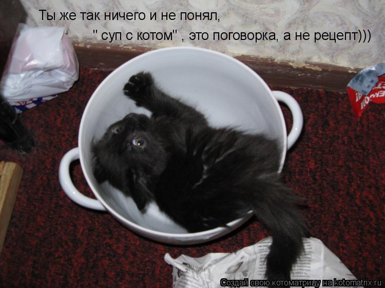 Ты же так ничего и не понял, " суп с котом" , это поговорка, а не рецепт)))... Котоматрица: Ты же так ничего и не понял, " суп с котом" , это поговорка, а не рецепт)))