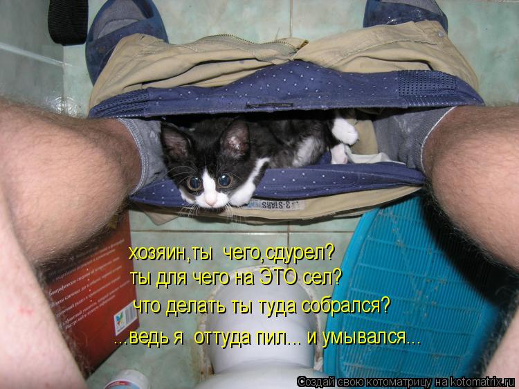 хозяин,ты чего,сдурел? ты для чего на ЭТО сел? что делать ты туда собрался? ...ведь я оттуда пил...... Котоматрица: хозяин,ты чего,сдурел? ты для чего на ЭТО сел? что делать ты туда собрался? ...ведь я оттуда пил... и умывался...