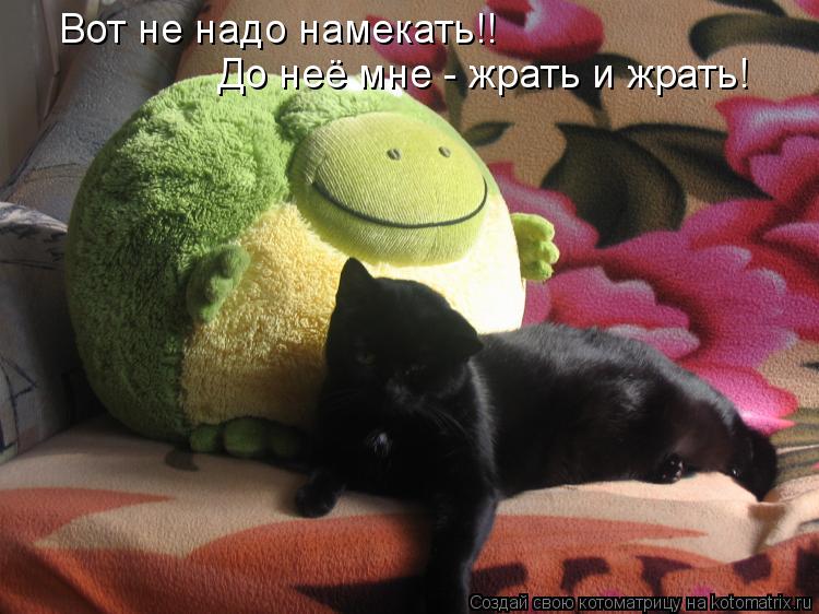 Вот не надо намекать!! До неё мне - жрать и жрать!... Котоматрица: Вот не надо намекать!! До неё мне - жрать и жрать!