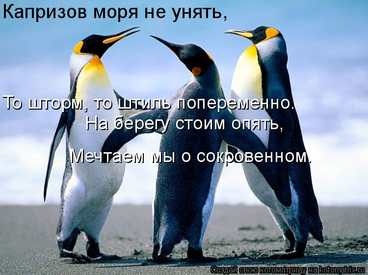 Капризов моря не унять, То шторм, то штиль попеременно. То шторм, то штиль попеременно. На берегу сто... Котоматрица: Капризов моря не унять, То шторм, то штиль попеременно. То шторм, то штиль попеременно. На берегу стоим опять, Мечтаем мы о сокровенном.