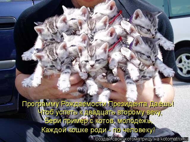 Программу Рождаемости Президента Даёшь! Чтоб успеть к двадцать второму веку, Бери пример с котов, мол... Котоматрица: Программу Рождаемости Президента Даёшь! Чтоб успеть к двадцать второму веку, Бери пример с котов, молодежь, Каждой кошке роди - по человеку!