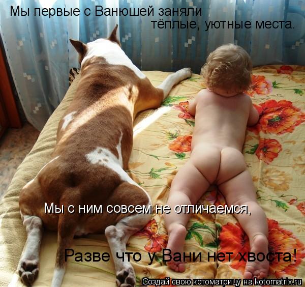 Мы первые с Ванюшей заняли тёплые, уютные места. Мы с ним совсем не отличаемся, Разве что у Вани нет ... Котоматрица: Мы первые с Ванюшей заняли тёплые, уютные места. Мы с ним совсем не отличаемся, Разве что у Вани нет хвоста!