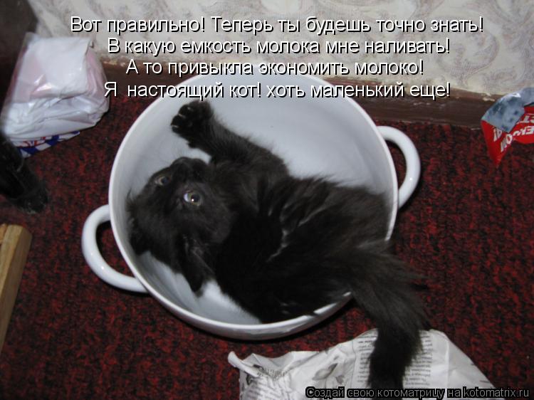 Вот правильно! Теперь ты будешь точно знать! В какую емкость молока мне наливать! А то привыкла эконо... Котоматрица: Вот правильно! Теперь ты будешь точно знать! В какую емкость молока мне наливать! А то привыкла экономить молоко! Я настоящий кот! хоть мале
