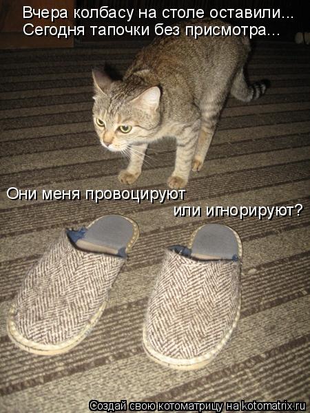 Котоматрица: Вчера колбасу на столе оставили... Сегодня тапочки без присмотра... Они меня провоцируют  или игнорируют?