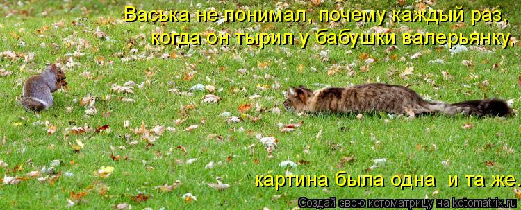 Васька не понимал, почему каждый раз, когда он тырил у бабушки валерьянку, картина была одна и та ж... Котоматрица: Васька не понимал, почему каждый раз, когда он тырил у бабушки валерьянку, картина была одна и та же.