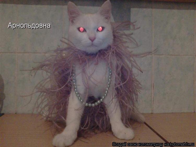 Арнольдовна... Котоматрица: Арнольдовна