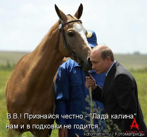 В.В.! Признайся честно - "Лада калина" нам и в подковки не годится.... Котоматрица: В.В.! Признайся честно - "Лада калина" нам и в подковки не годится.