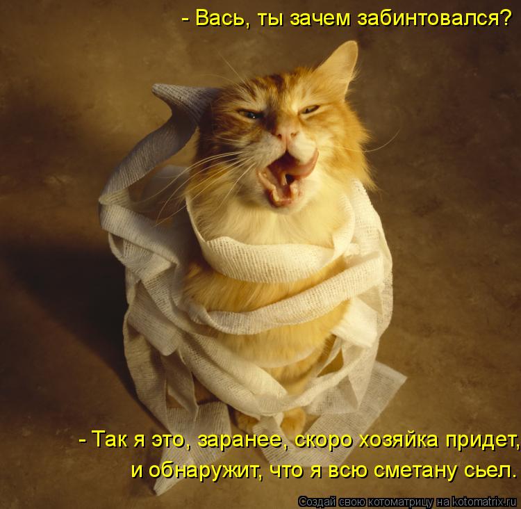 - Вась, ты зачем забинтовался? - Так я это, заранее, скоро хозяйка придет, и обнаружит, что я всю сме... Котоматрица: - Вась, ты зачем забинтовался? - Так я это, заранее, скоро хозяйка придет, и обнаружит, что я всю сметану сьел.