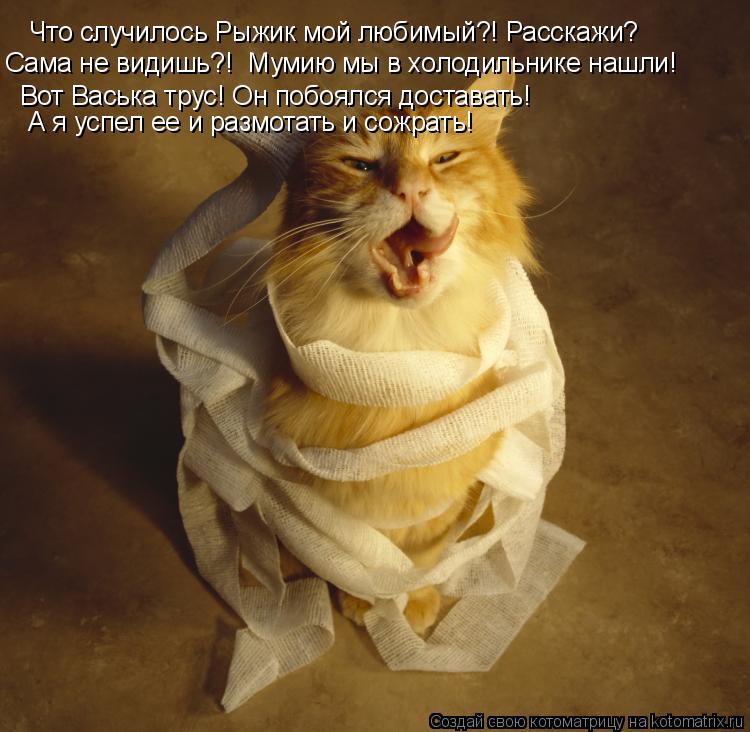 Что случилось Рыжик мой любимый?! Расскажи? Сама не видишь?! Мумию мы в холодильнике нашли! Вот Вась... Котоматрица: Что случилось Рыжик мой любимый?! Расскажи? Сама не видишь?! Мумию мы в холодильнике нашли! Вот Васька трус! Он побоялся доставать! А я успел
