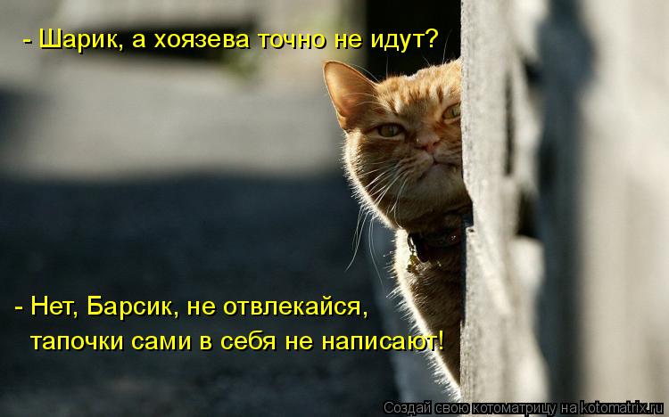 - Шарик, а хоязева точно не идут? - Нет, Барсик, не отвлекайся, тапочки сами в себя не написают!... Котоматрица: - Шарик, а хоязева точно не идут? - Нет, Барсик, не отвлекайся, тапочки сами в себя не написают!