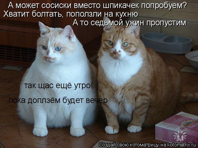 А может сосиски вместо шпикачек попробуем? Хватит болтать, поползли на кухню А то седьмой ужин пропус... Котоматрица: А может сосиски вместо шпикачек попробуем? Хватит болтать, поползли на кухню А то седьмой ужин пропустим так щас ещё утро! пока доплзём буде