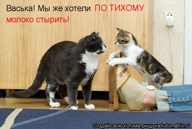 Васька! Мы же хотели ПО ТИХОМУ молоко стырить!... Котоматрица: Васька! Мы же хотели ПО ТИХОМУ молоко стырить!