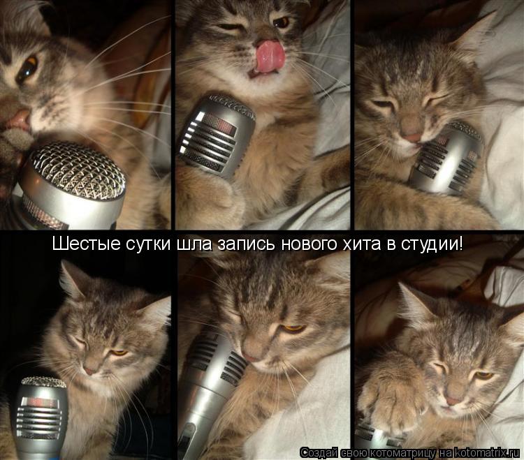 Шестые сутки шла запись нового хита в студии!... Котоматрица: Шестые сутки шла запись нового хита в студии!