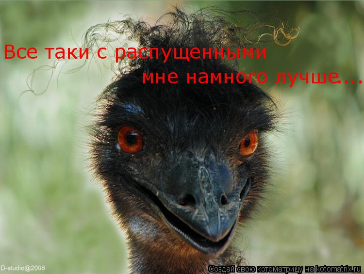 Все таки с распущенными мне намного лучше ....... Котоматрица: Все таки с распущенными мне намного лучше ....