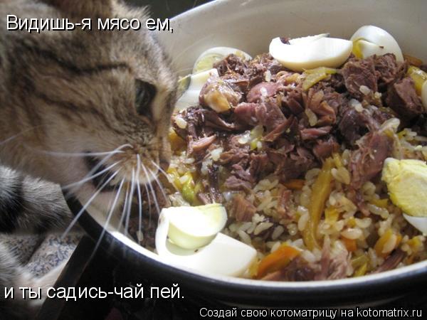 Видишь-я мясо ем, и ты садись-чай пей.... Котоматрица: Видишь-я мясо ем, и ты садись-чай пей.